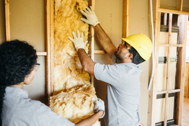 Best Blown-in Insulation  in Kaaawa, HI